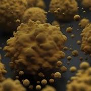 Nucleation And Formation In Agglomeration