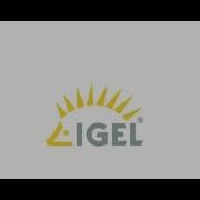 IGEL At Citrix Synergy