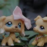LPS Vertigo MEP Part 6
