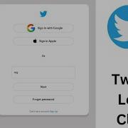 Create An Twitter Login Clone HTML CSS