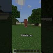 Copper Armor And Tools