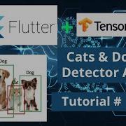 Mobile Machine Learning For Android IOS TensorFlow Lite Cat Dog Classifier Using Deep Learning