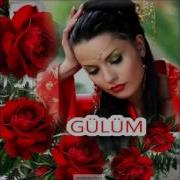 GÜLÜM KIVIRCIK ALİ