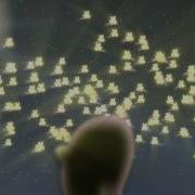 PMV Collab Fireflies FazexPON3 S Part