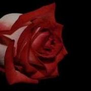 Dursun Ali Erzincanlı Sen Gidince Sadece Fon Müziği