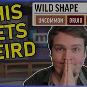 The Awkward Science Of Polymorph Pathfinder D D