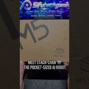 Unboxing The M5Stack Stack Chan My New AI Robot Project