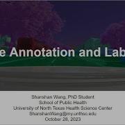 Image Annotation And Labeling Using CVAT