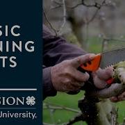 Basic Pruning Cuts