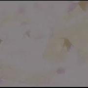 2D Webm