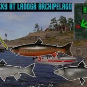 Russian Fishing 4 How To Use Wacky Rig Ladoga Archipelago
