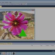 Visual Basic 2010 Express Tutorial 31 Picture Transparency PNG Images Within PictureBoxes