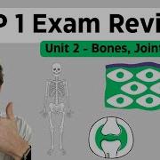 Anatomy Physiology Unit 2 Review Bones Joints Skin Integument