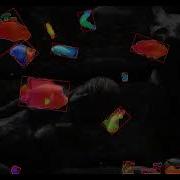 Dense Optical Flow DIS