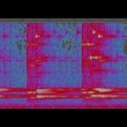Spectrogram Of Clip From Hegira With Bass Beating