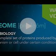 What Is Proteomics A Beginner S Explanation Of Proteomics In Life Science Applications