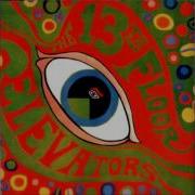 The 13th Floor Elevators Your Gonna Miss Me