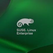 Installing SUSE Linux Enterprise Desktop 11 For X86