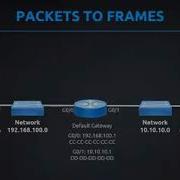 Routers Switches Packets And Frames