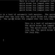 SlickEdit Automatic Left Margin