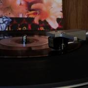 Nirvana Marigold 1993 Vinyl
