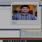 Visual Basic Picture Box Display