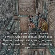 NILETTO Сирень Текст песни