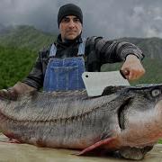 A Dish Of Huge Fish You Will Fall In Love With The Taste Of This Recipe