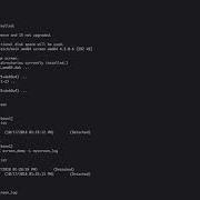 Using The Screen Command