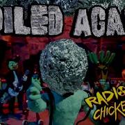 Radioactive Chicken Heads FOILED AGAIN Music Video