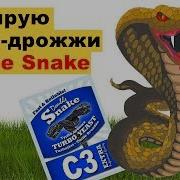 Double Snake Turbo Yeast Testing To See If It S Worth The Effort