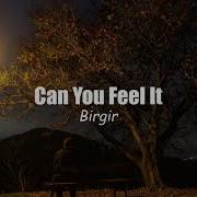 Birgir Can You Feel It Español Lyrics
