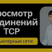 Утилиты TCPView Netstat и Ss Компьютерные сети 2025 31