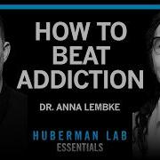 Essentials Understanding Treating Addiction Dr Anna Lembke