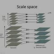 Key Point Detection