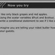 Perl Tutorials Part 37 Now You Try Choices