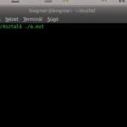 GTK Tutorial 7 Check Button And Toggle Button