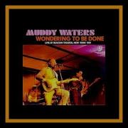 Muddy Waters James Cotton And Johnny Winter Wondering To Be Done 1981 Complete Bootleg