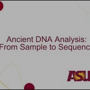 Ancient DNA Analysis From Sample To Sequence