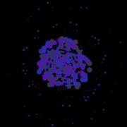 Javascript Canvas Circle Animation Part 9
