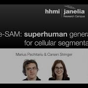 Cellpose SAM Tutorial