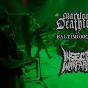 Maryland Deathfest XV 2017 Insect Warfare