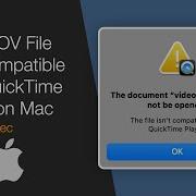 Why MOV File Not Compatible With QuickTime Player On Mac Video Codec Animation Apple ProRes