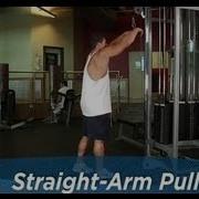 Straight Arm Pulldown Back Exercise Bodybuilding Com