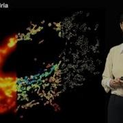 Сяовэй Чжуан Гарвард HHMI Часть 1 Флуоресцентная микроскопия сверхвысокого разрешения