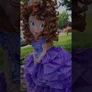Piñata De La Princesa Sofia