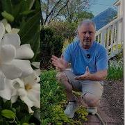 ВСЁ О ГАРДЕНИЯХ Где сажать распространённые проблемы как ухаживать и множество сортов