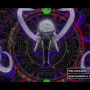 Subtronics X Wooli Hallelujah
