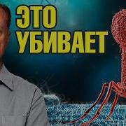 Вирусы разрушают вас изнутри 10 шагов для крепкого иммунитета
