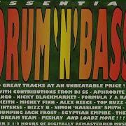 Various Essential Drum N Bass Breakbeat Hardcore Drum Bass Jungle 1995